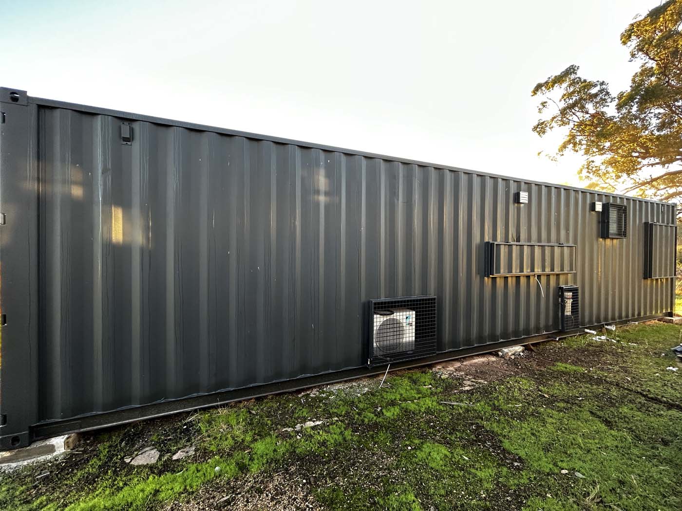 Mark III_Bealiba_Back